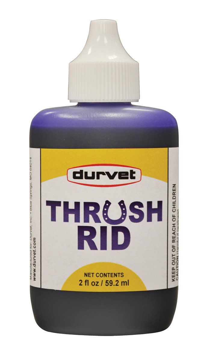 Durvet Thrush Rid for Horses