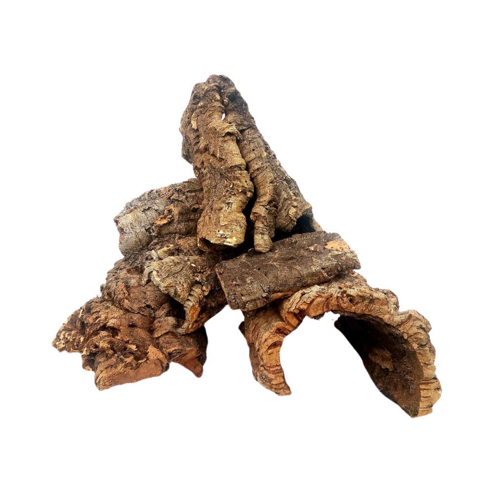 Ez Botanicals Cork Bark - 1Lb (Assorted) - For Orchids, Airplants, Reptiles, And Terrariums