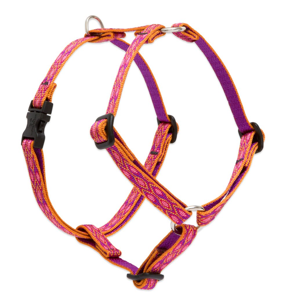 LupinePet Originals 1/2 Alpen Glow 9-14 Adjustable Roman Dog Harness for Extra Small Dogs
