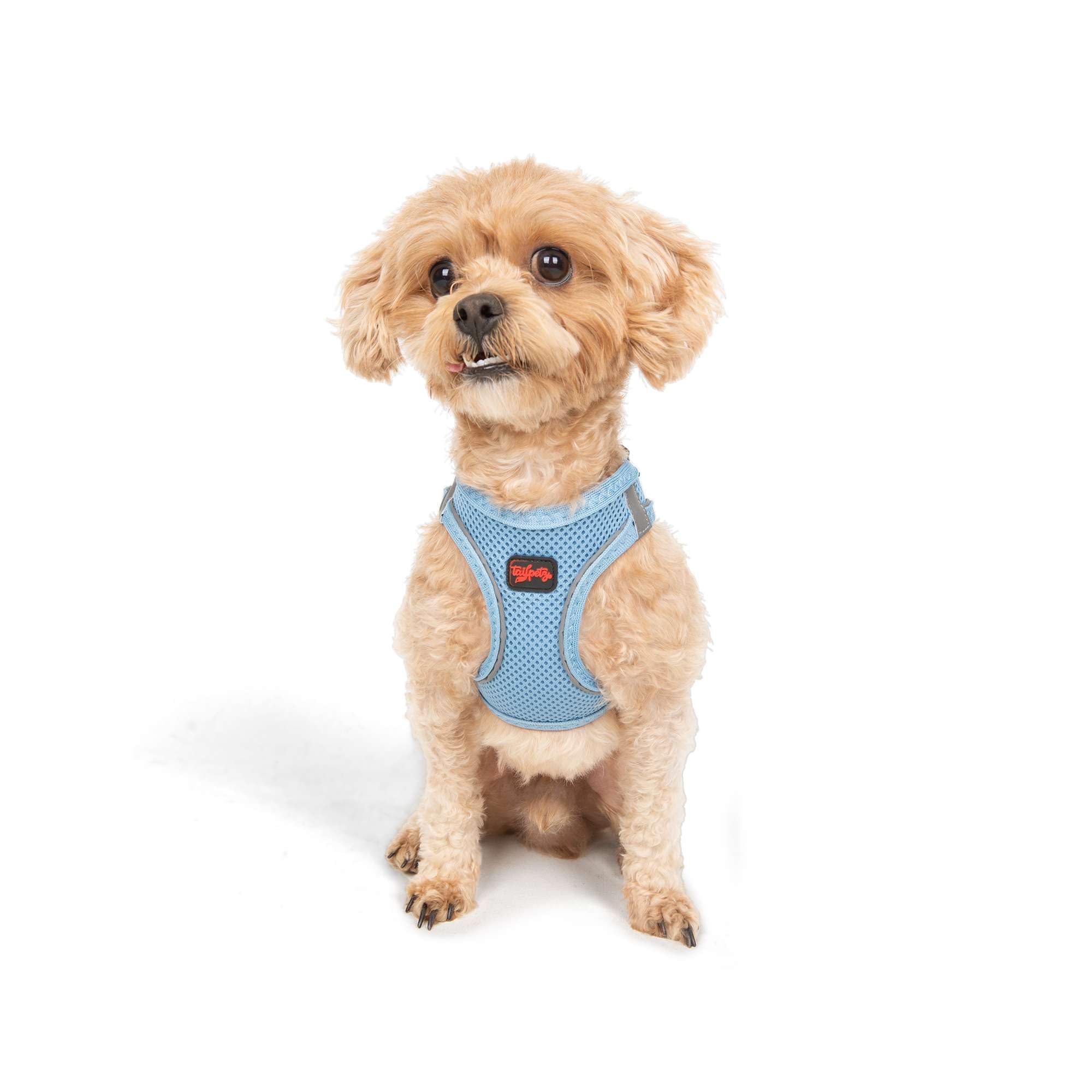 Tailpetz XXXS Dog Harness Blue, Adjustable Step in No Pull Harness for Small Dogs, Reflective Puppy Harness for Puppy Training, 