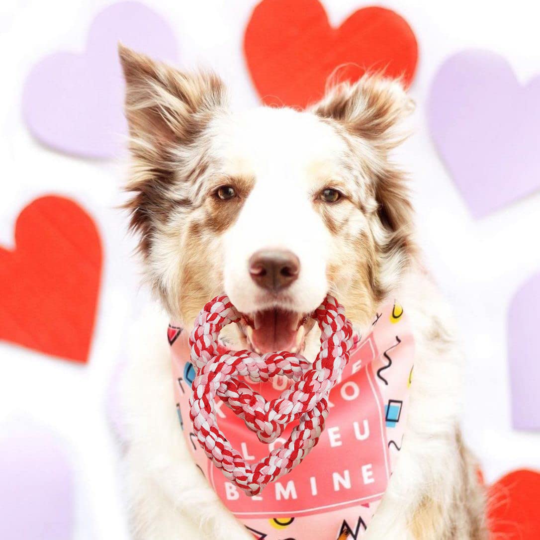 Boombone Valentines Dog Toy, Interlocking Heart Dog Rope Toy, Small Medium Dog Toy