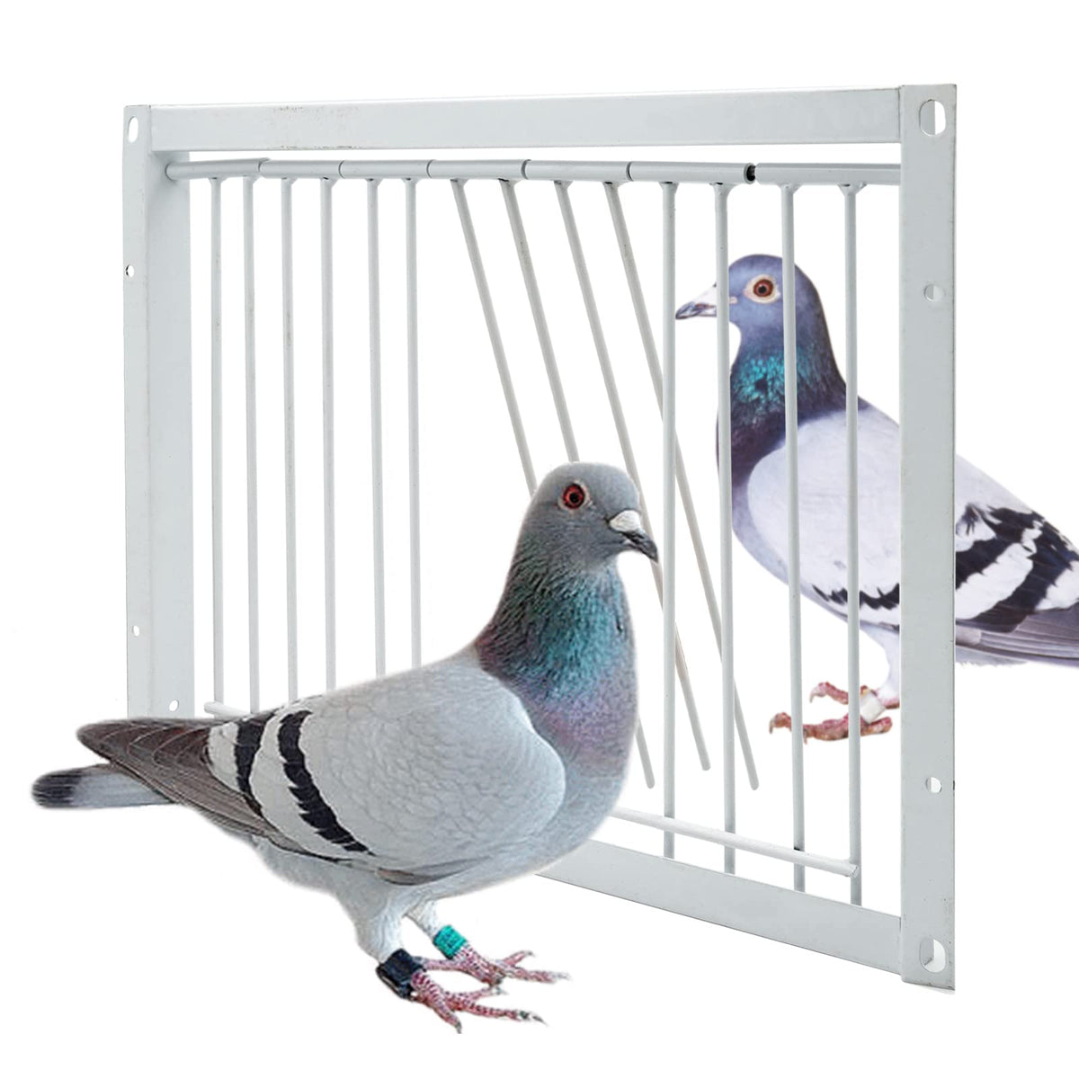Junniu 11.8In/30Cm Pigeon Cage Door One Way Entrance Door Bird T Trap Birdcage Iron Wire Trap Door For Racing Pigeon Bird Cage B