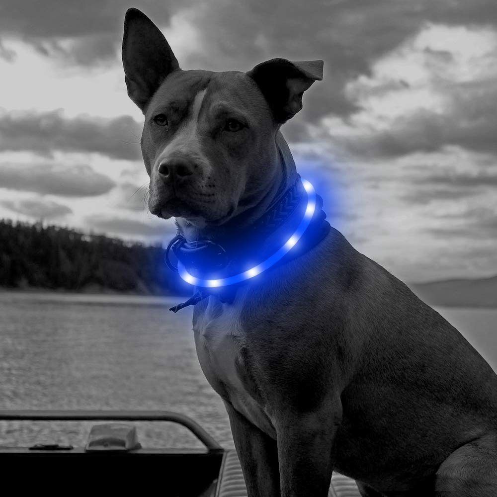 Higo Led Dog Collar Light, Usb Rechargeable Light Up Collars, Silicone Diy Cuttable Glowing Safety Collar For Your Small Medium Large Dogs (Blue)