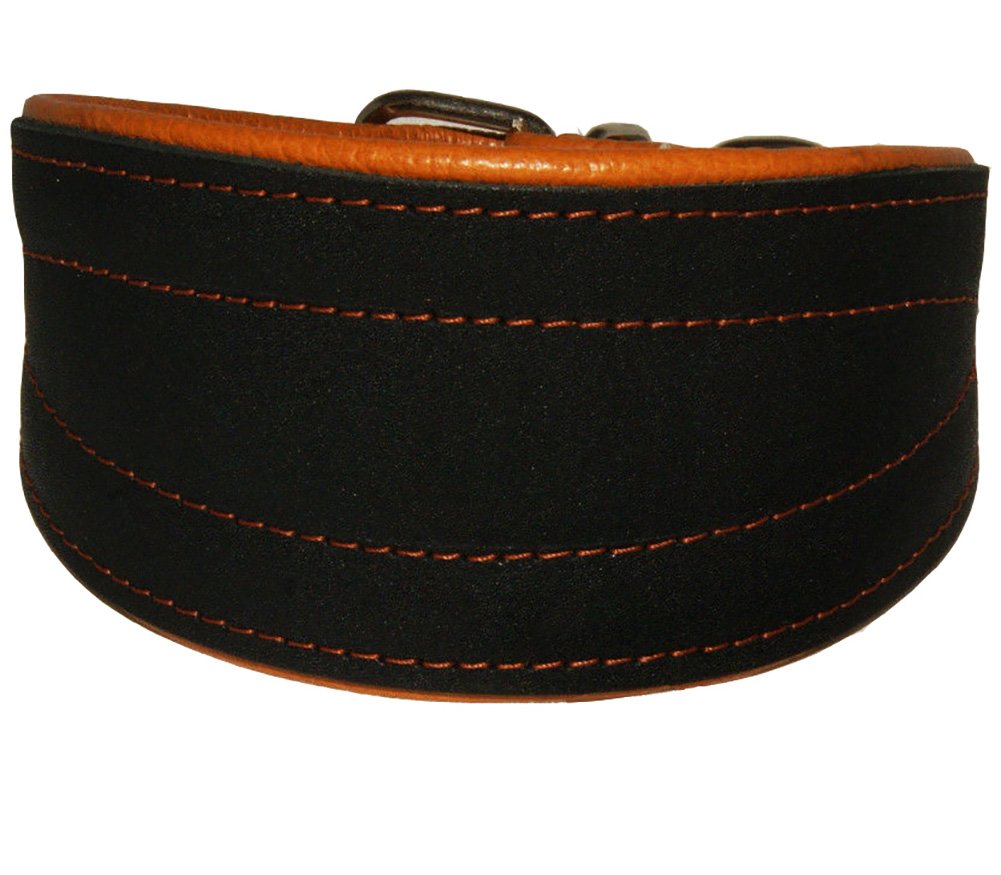 Real Leather Extra Wide Padded Tapered Dog Collar Glossy Black Greyhound Saluki Deerhound Lurcher Whippet Dachshund (14.25-17