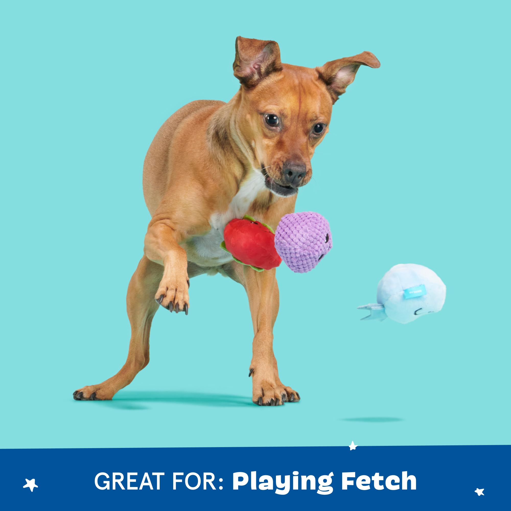 Barkbox Wild Berry Bunch Multi Part Toy For Dogs And Puppies - Small Breeds