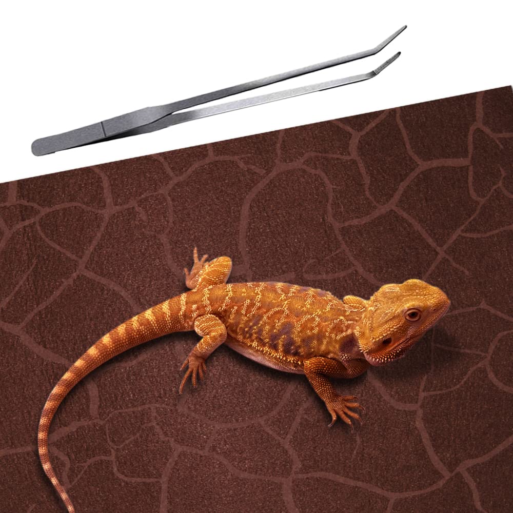 Rep Buddy 2 Pack Reptile Carpet Desert Reptile Mat & Reversible Substrate, Terrarium Liner Bedding, For Lizard,Chameleon,Gecko,S