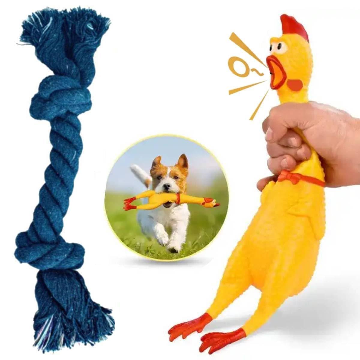 PETZLUV Puppies 2 in 1 Combo Toys for Pet Squeaky Chew Natural Latex Rubber Murga (Large), 2 Knot Chew Rope Toy for Dog  Multic
