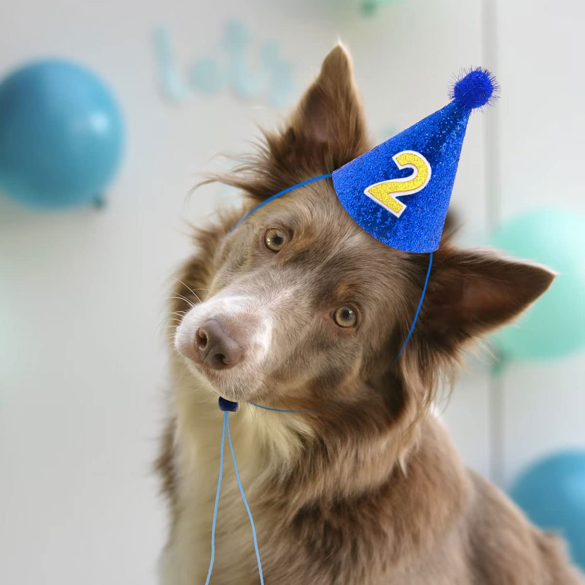Pet Show 5Pcs Dog Birthday Hat Set For Medium Large Dogs Boys Girls Cone Party Hats With 0-9 Numbers 10 Glue Hair Grooming Acces