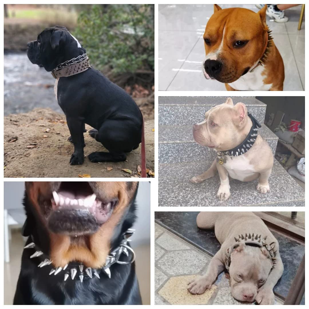 The Mighty Large Spiked Studded Dog Collar - Protect Your Dog'S Neck From Bites, Durable & Stylish, For Large Dogs (Blue S)