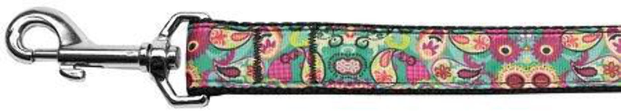Pet Dog & Cat Nylon Collar or Leash, "Turquoise Paisley" 3/8" w x 6 ft. leash