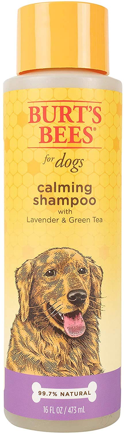 Burt'S Bees For Pets Calming Dog Shampoo With Lavender And Green Tea, 6Pk, 95% Natural Origin Formulas, Calming Lavender Dog Sha