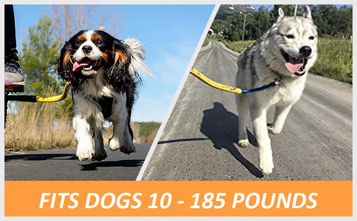 Best Dog Bike Leash - Bike Tow Leash (Yellow)