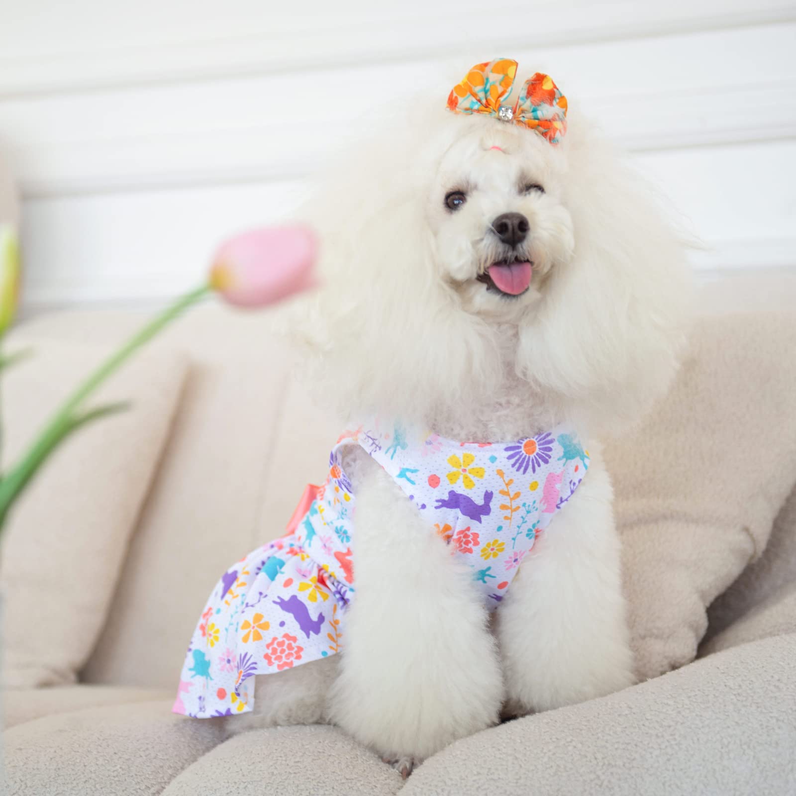 Cutebone Easter Dog Dress Puppy Sundress Pet Outfit Summer Fashion For Small Dogs Girl Cat Clothes Bf09S