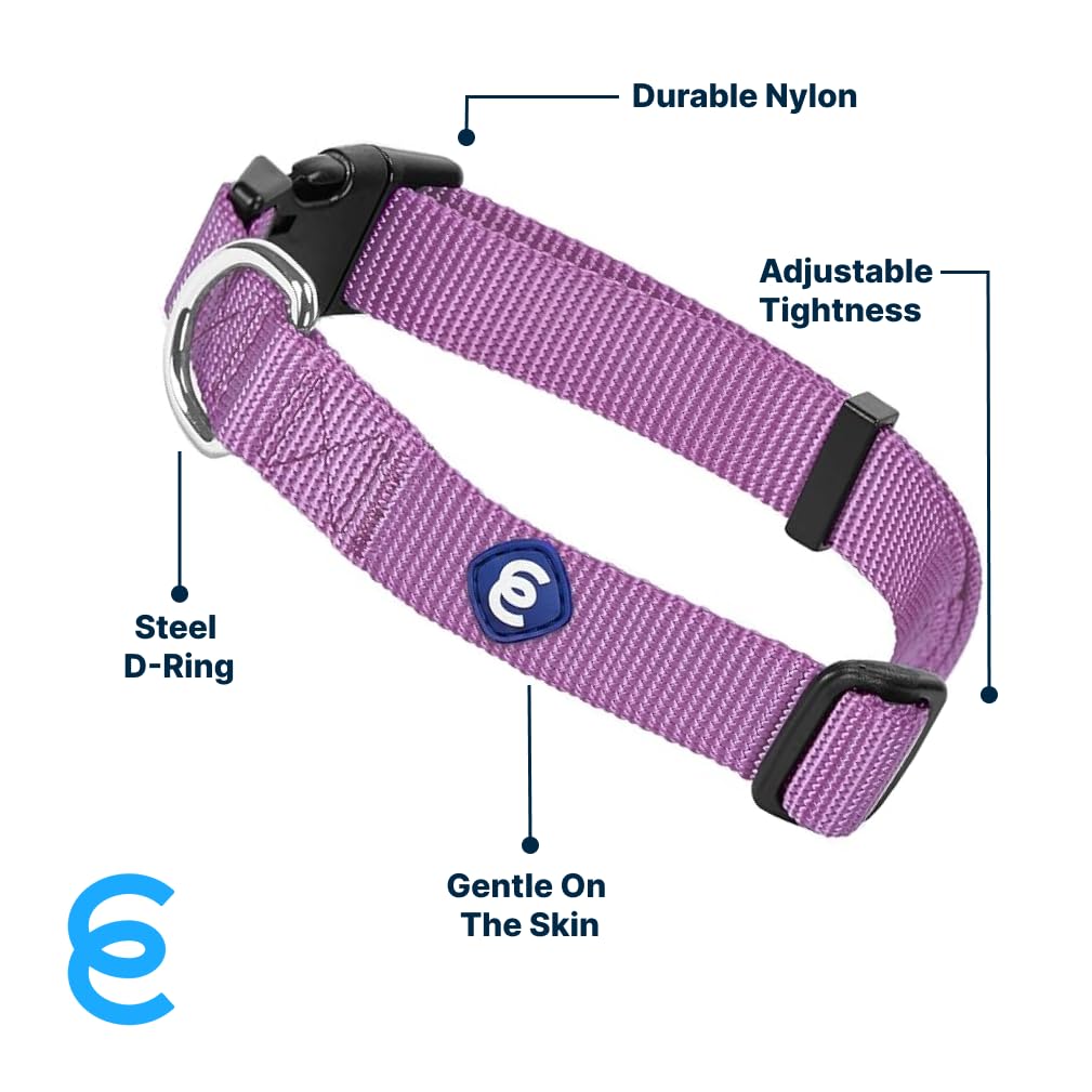 Blueberry Pet Essentials Matching Small Dog Collar | Adjustable Classic Solid Color Nylon Dog Collars For Small Dogs | Purple Do