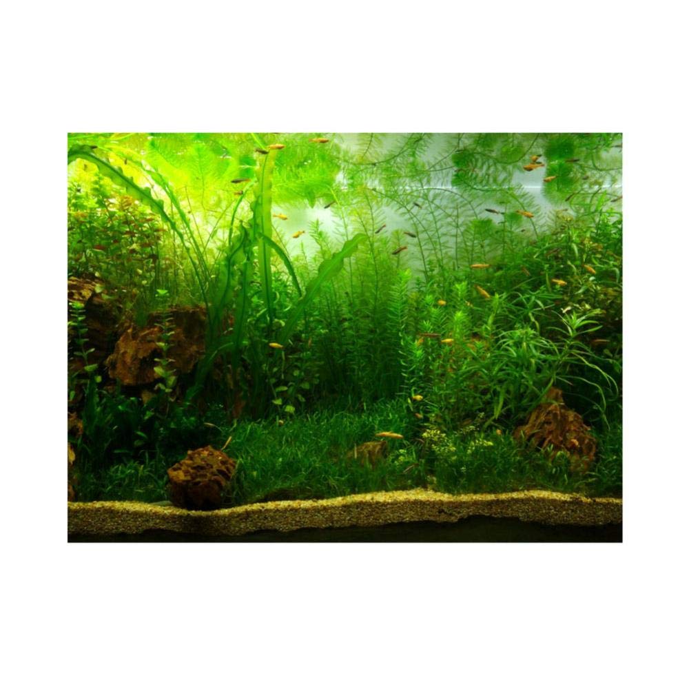 Aquarium Fish Background Poster PVC Adhesive Decor Paper Green Water Grass Aquatic Like Real(24.02x11.81in)