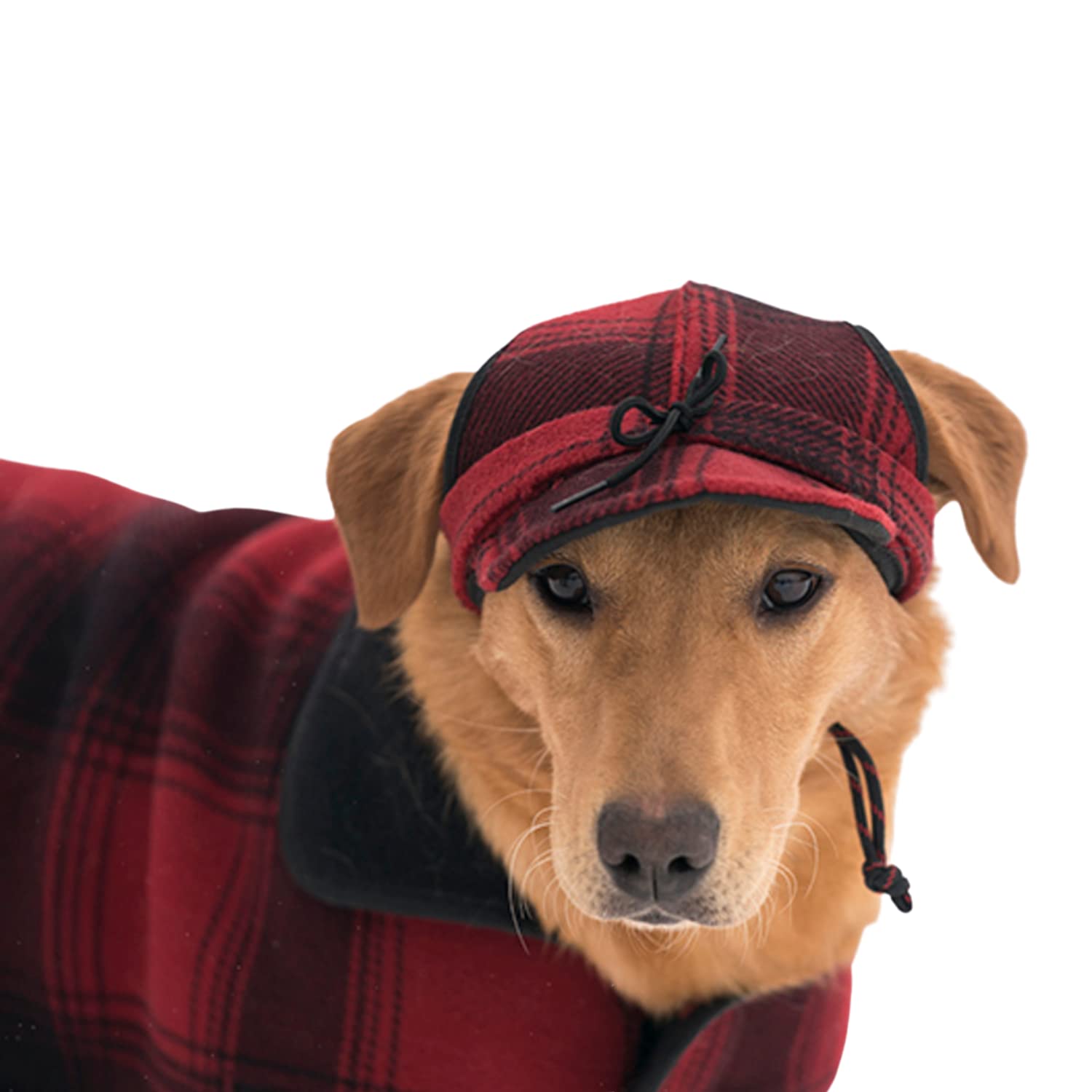 Stormy Kromer Critter Kromer For Her - Pet Hat, Dog Winter Hat, Warm Pet Accessories