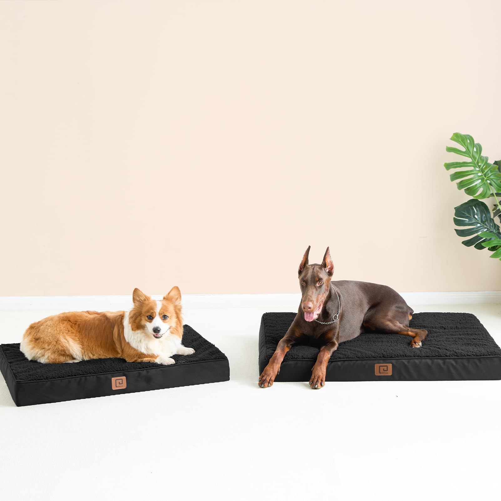 Eheyciga Orthopedic Xl Dog Beds For Extra Large Dogs With Removable Washable Cover For Crate, Black, 41X27