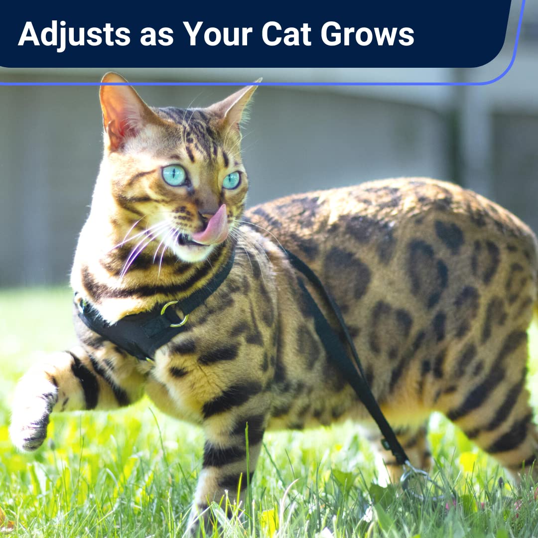 Houdini™ Escape Proof Cat Harness And Leash Set By Outdoorbengal For Walking Cats And Kittens (Soft Mesh, Large Cat)