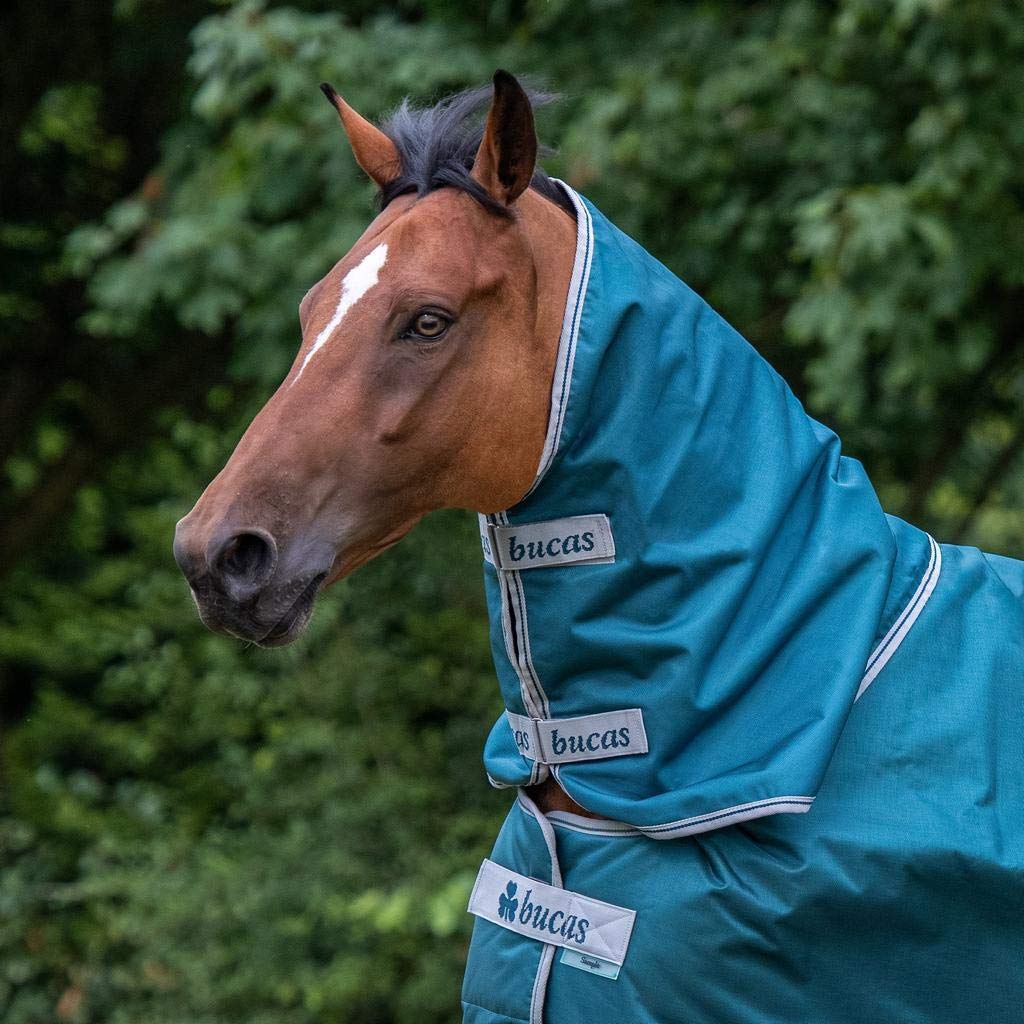 Bucas Atlantic Combi Neck Cover (Medium, Spruce)