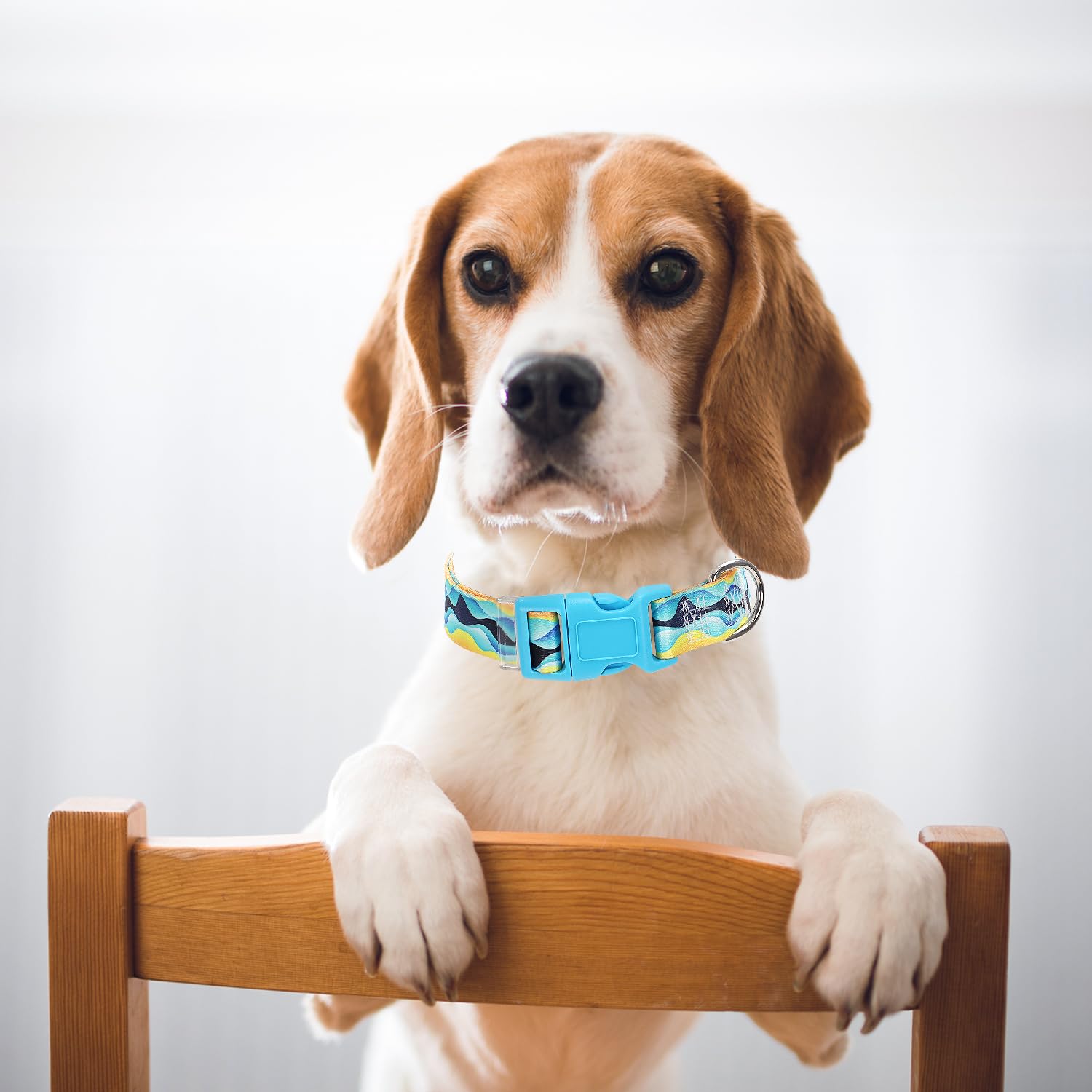 Boy Dog Collar For Small Dogs, Cute Blue Dog Collar With Sea Waves Pattern, Adjustable Heavy Duty Pet Buckle Collar For Xs Small