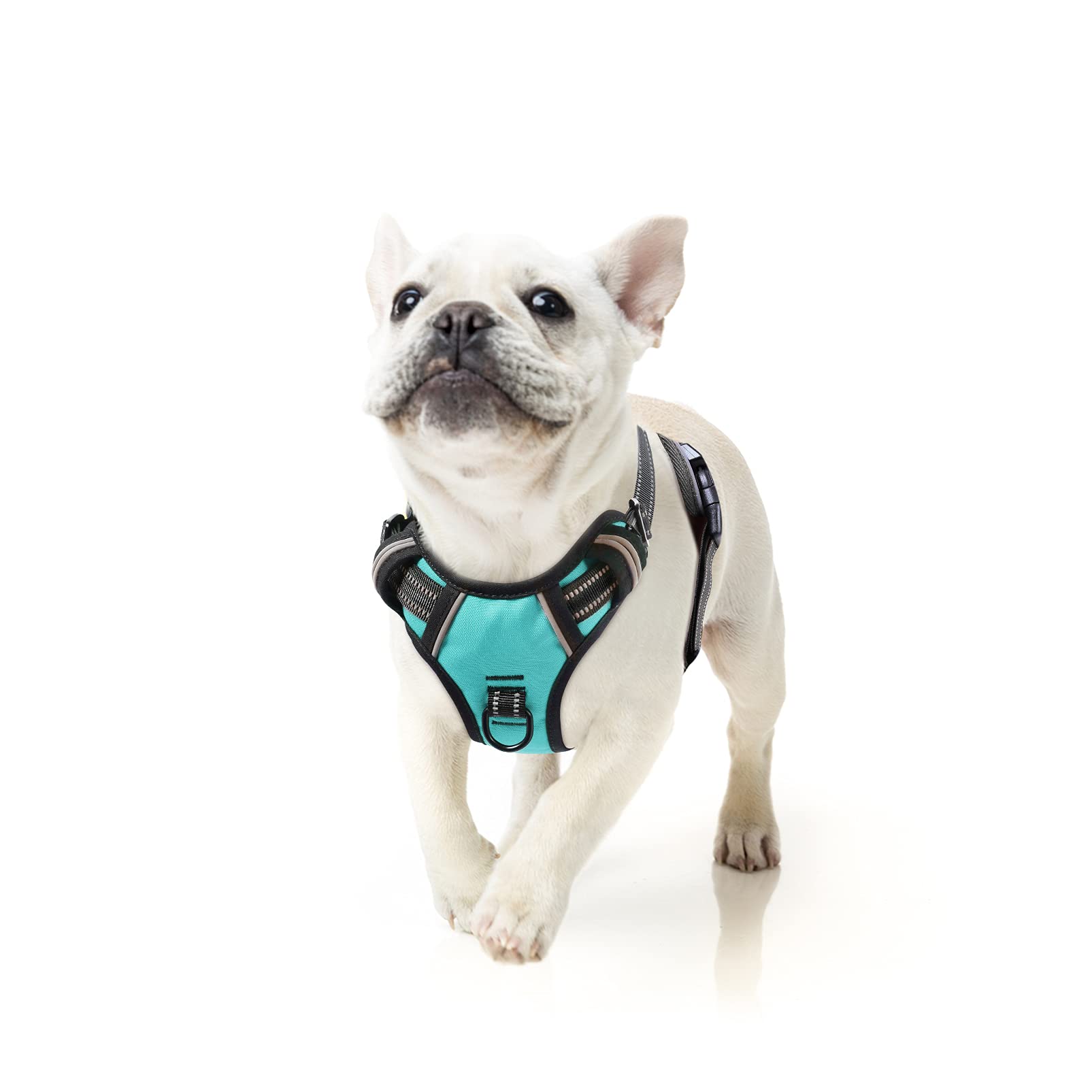 Heele Dog Harness Dog Harness Small Dog No Pull Harness Wiht Soft Handle Reflective Harness Adjustable, Turquoise, S