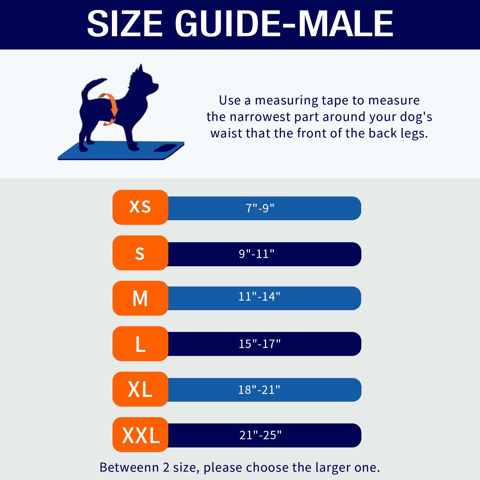 Micooyo Belly Bands For Male Dogs, 3 Pack Reusable Dog Diapers Male For Puppy Doggie, Washable Male Dog Wraps (M, Rainforest)