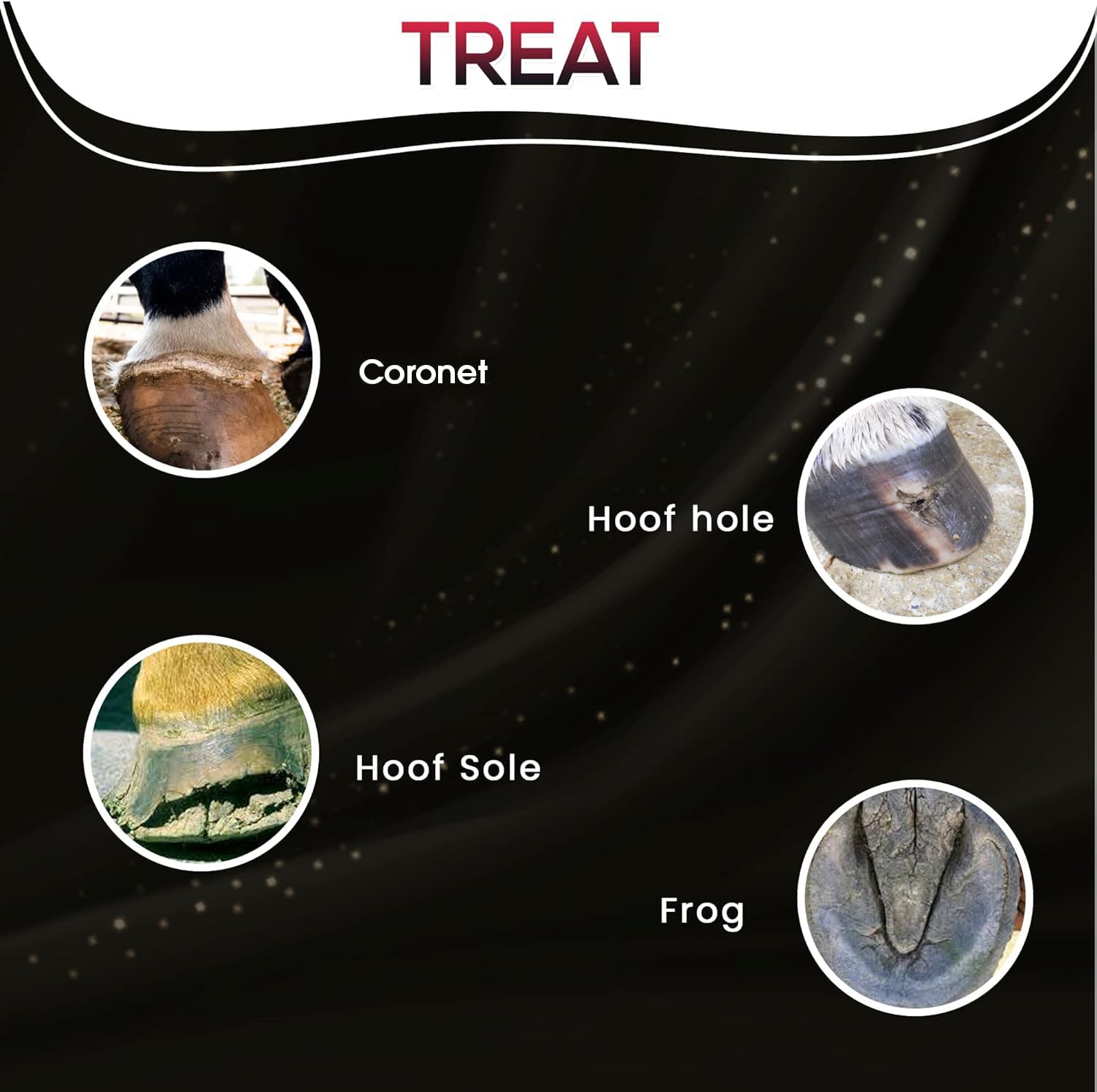 SAV-A-HOOF SBS Equine Spray | Hoof Treatment Provides Antiseptic Barrier Against Infection | Fights Hoof iIlness | Long-Lasting