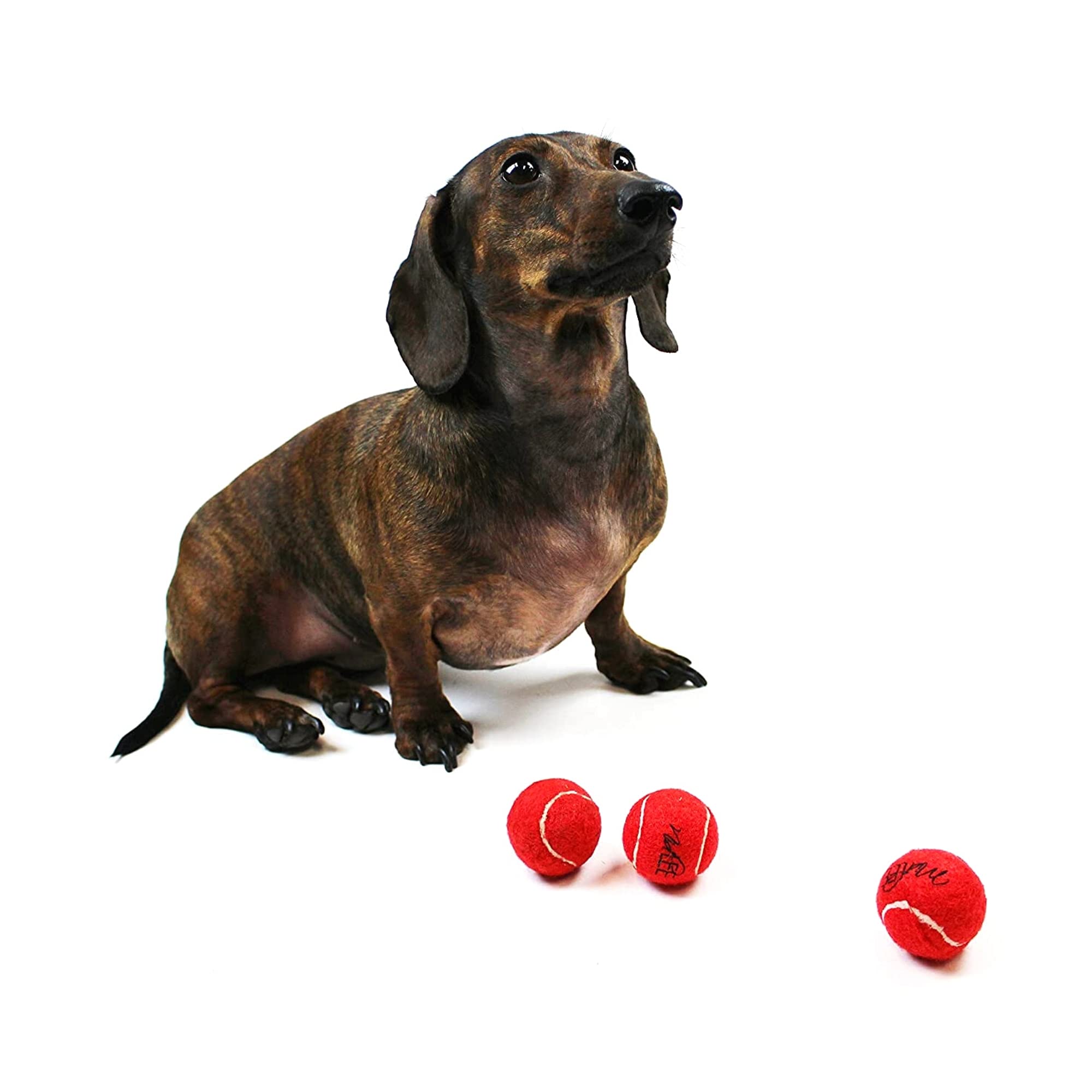 Midlee Mini Dog Tennis Balls, Red, 1.5' 12-Pack- Fetch Ball Laucher Pet Small Tennis Balls
