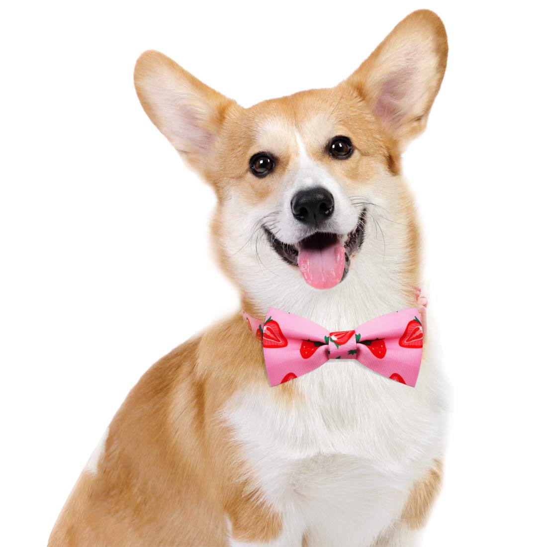 Azuza Dog Collar Bow Tie, Lovely Pink Strawberry Dog Collars With Bowtie For Extra Small Dogs