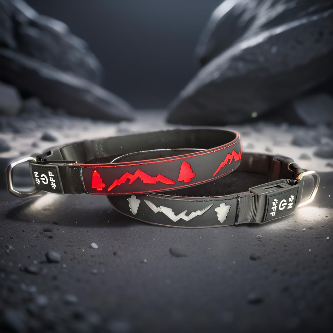 Dogled Usb-C Led Light Up Dog Collar, 3D Design Comfortable And Soft Material,Multicolored Lighting,Night Dog Collar (Tr, M(15.7