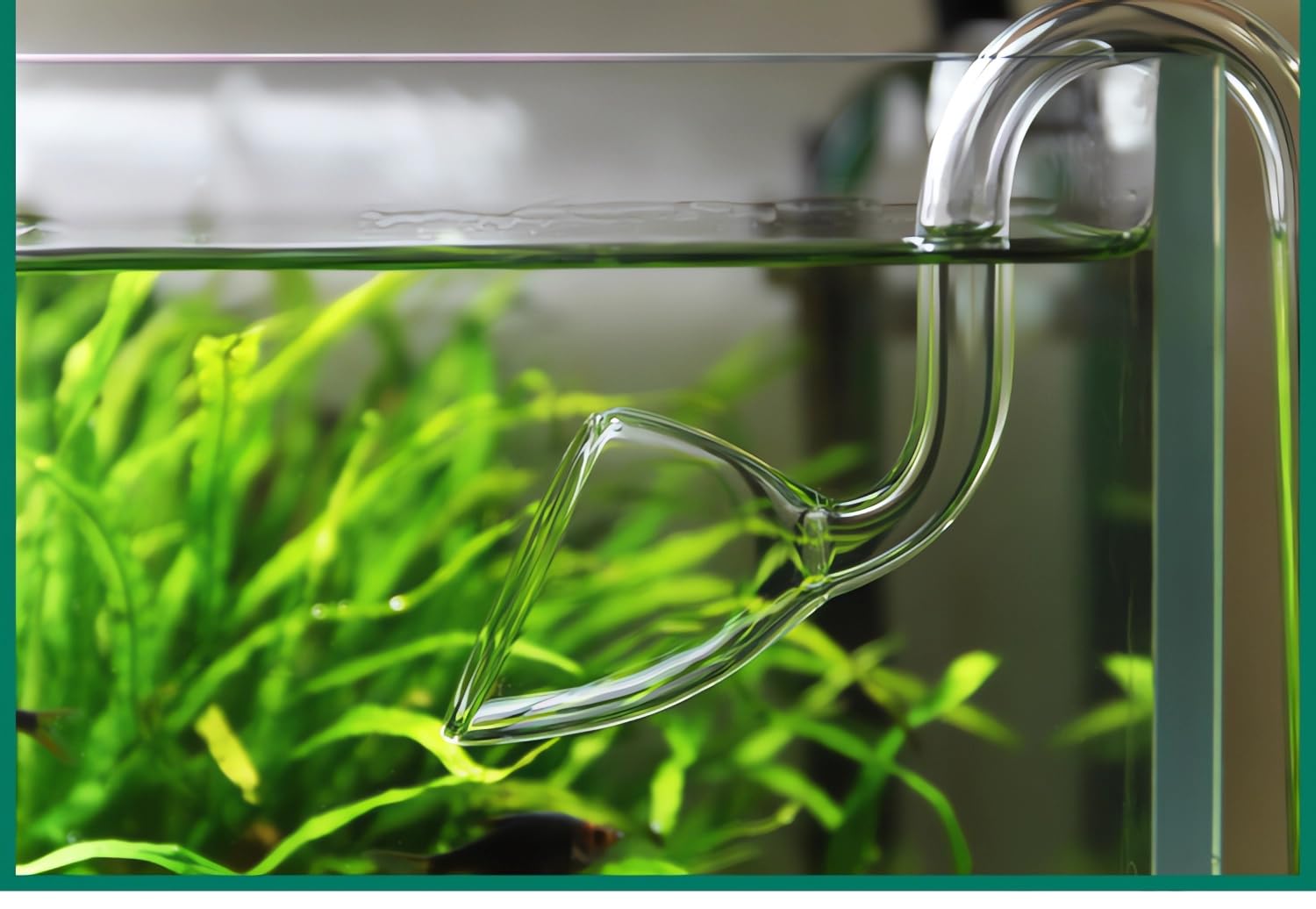 Jardli 13Mm Plant Aquarium Glass Lily Pipe Inflow And Lily Pipe Outflow For 12/16Mm Tube