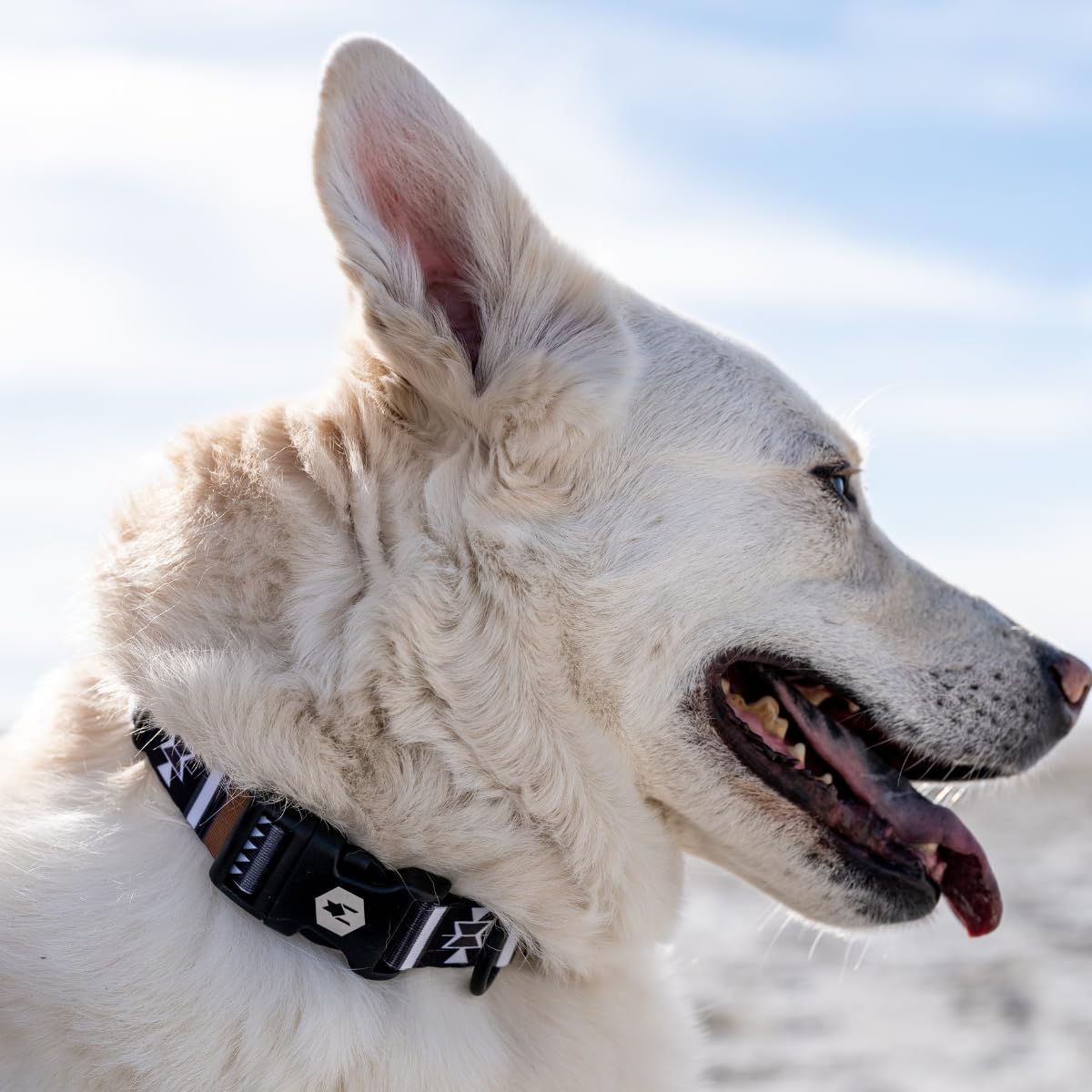 Wolfgang Heavy Duty, Adjustable Dog Collar With Quick Release Nylon Buckle For Walking & Training, Newmoon Print, Large