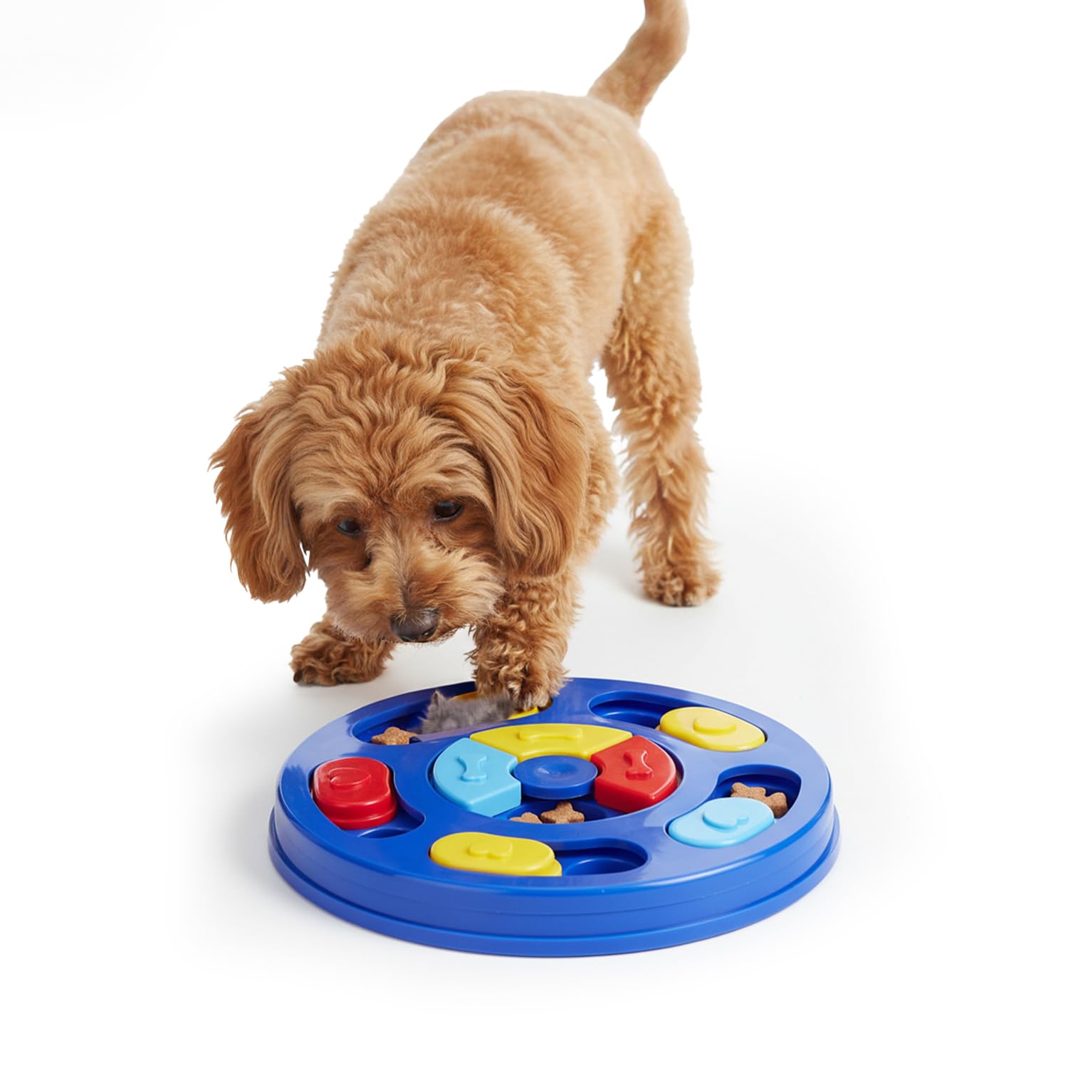 Amazon Basics Interactive Pet Puzzle Toy | Treat Dispensing Slow Feeder | NonSlip Base | For Dogs, Puppies, Cats & Kittens | No