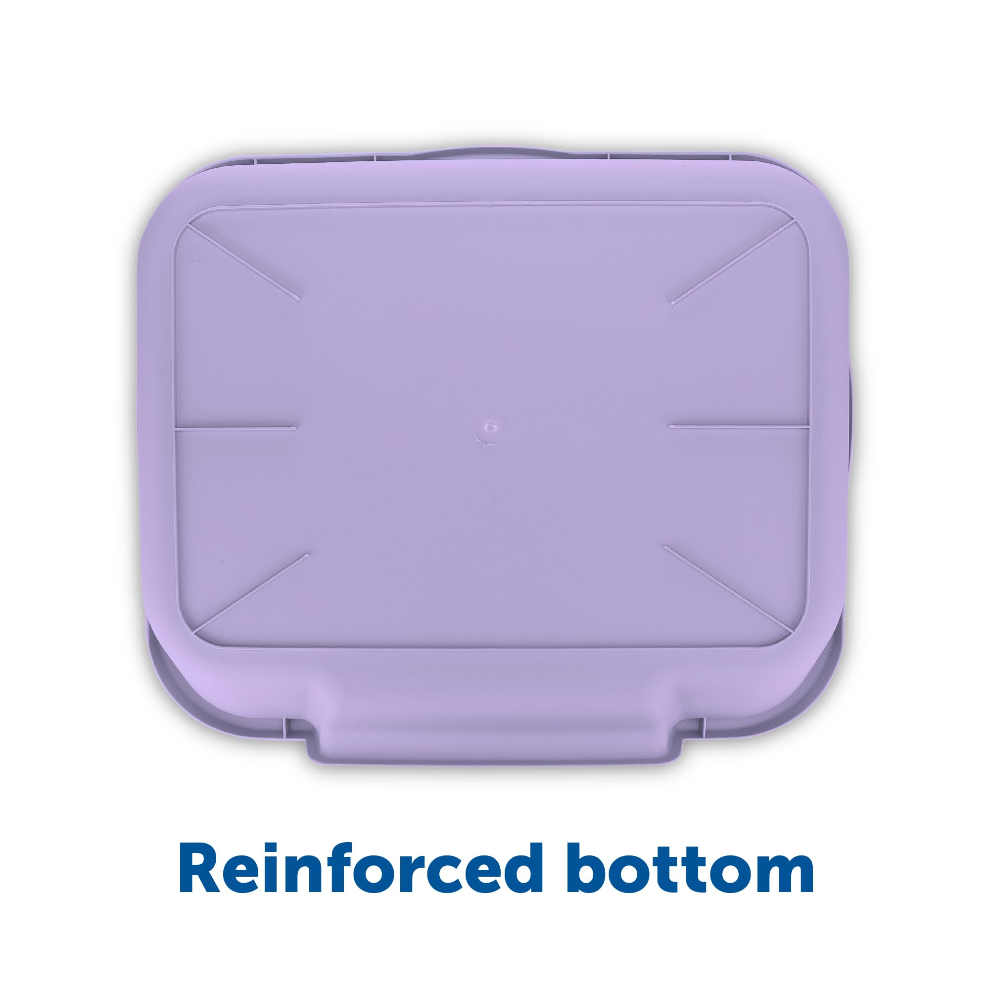 Kittygohere Senior Cat Litter Box 1 Pack, Large Storybook Lavender Low Entrance Kitty Litter Box, Sized For Cats Comfort, Perfect For Senior And Arthritic Cats, Made In Usa