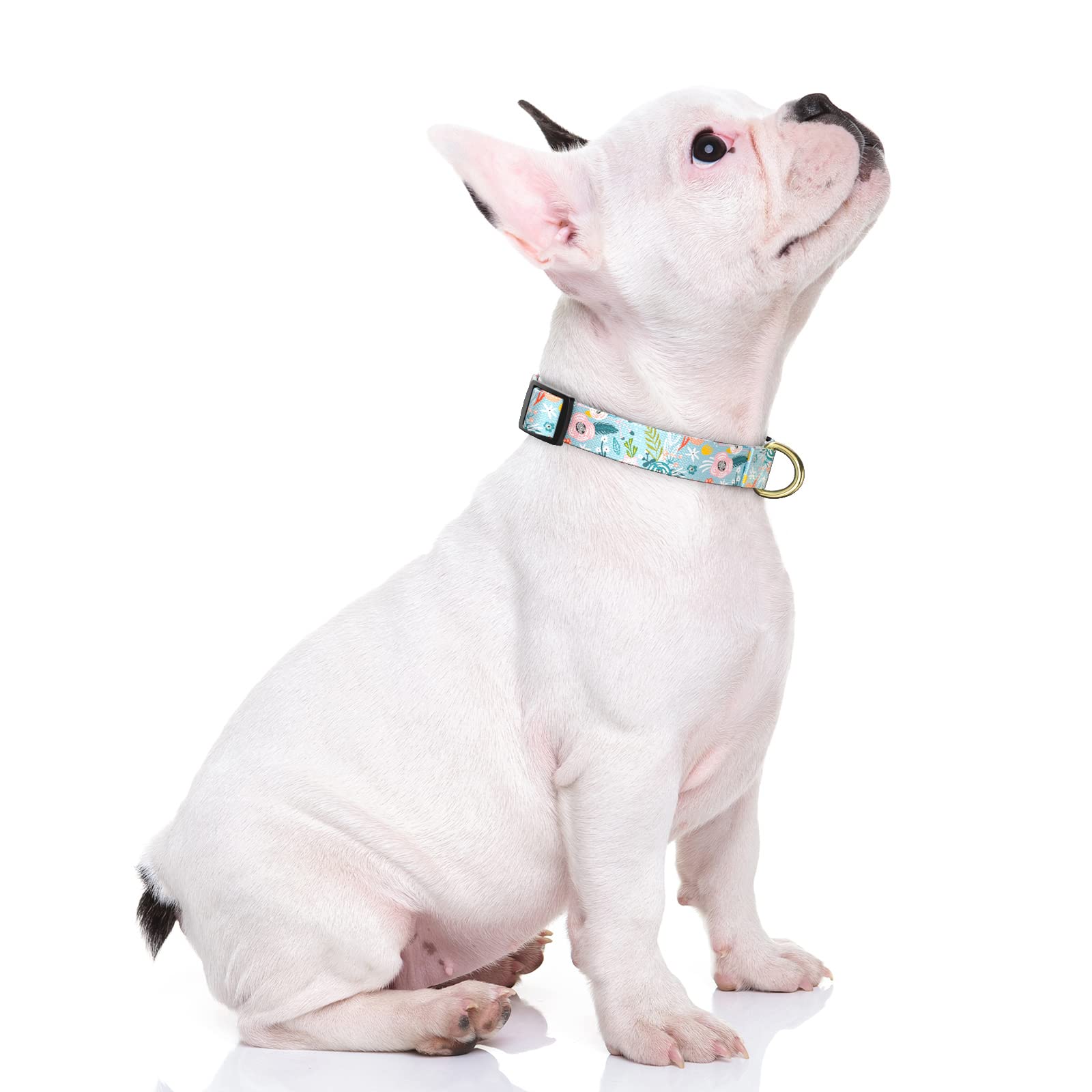 Rnivvi Dog Collar For Small Dogs, Cute Floral Heavy Duty Adjustable Puppy Collar With Quick Release Buckle For Boy Girl & Female