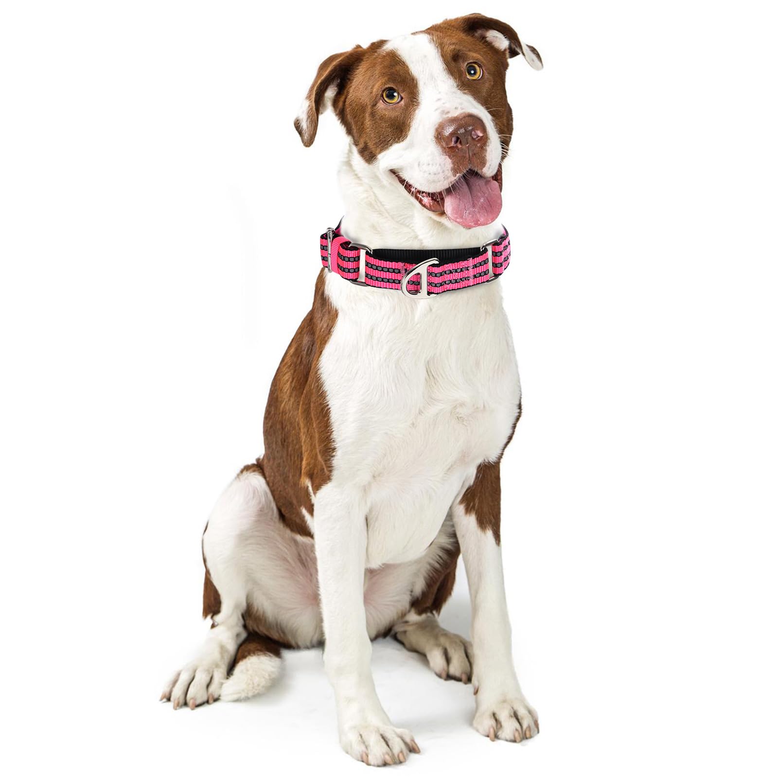 Onefojojo Martingale Dog Collars Reflective Nylon Dog Collar With No Buckle Adjustable Training No Slip Dog Collar (Medium,Pink)