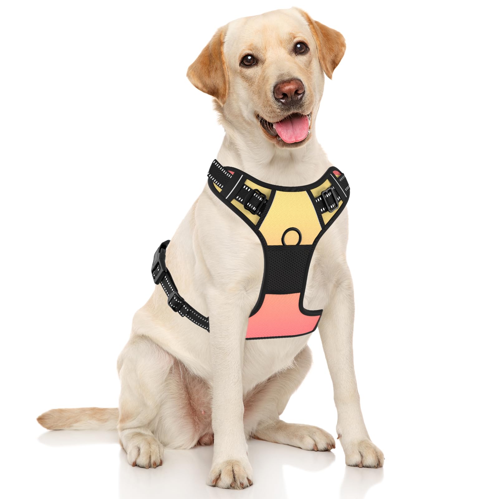 Rnivvi No Pull Dog Harness, Cute Reflective X-Large Sized Puppy Harness, Adjustable Soft Padded Vest for Large Dogs, Heavy Duty