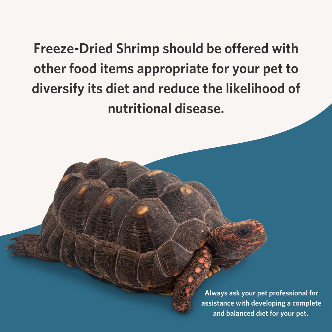 Fluker's Freeze Dried River Shrimp for Reptiles, Packed with Protein and Essential Nutrients, 1 lb. Value Pack