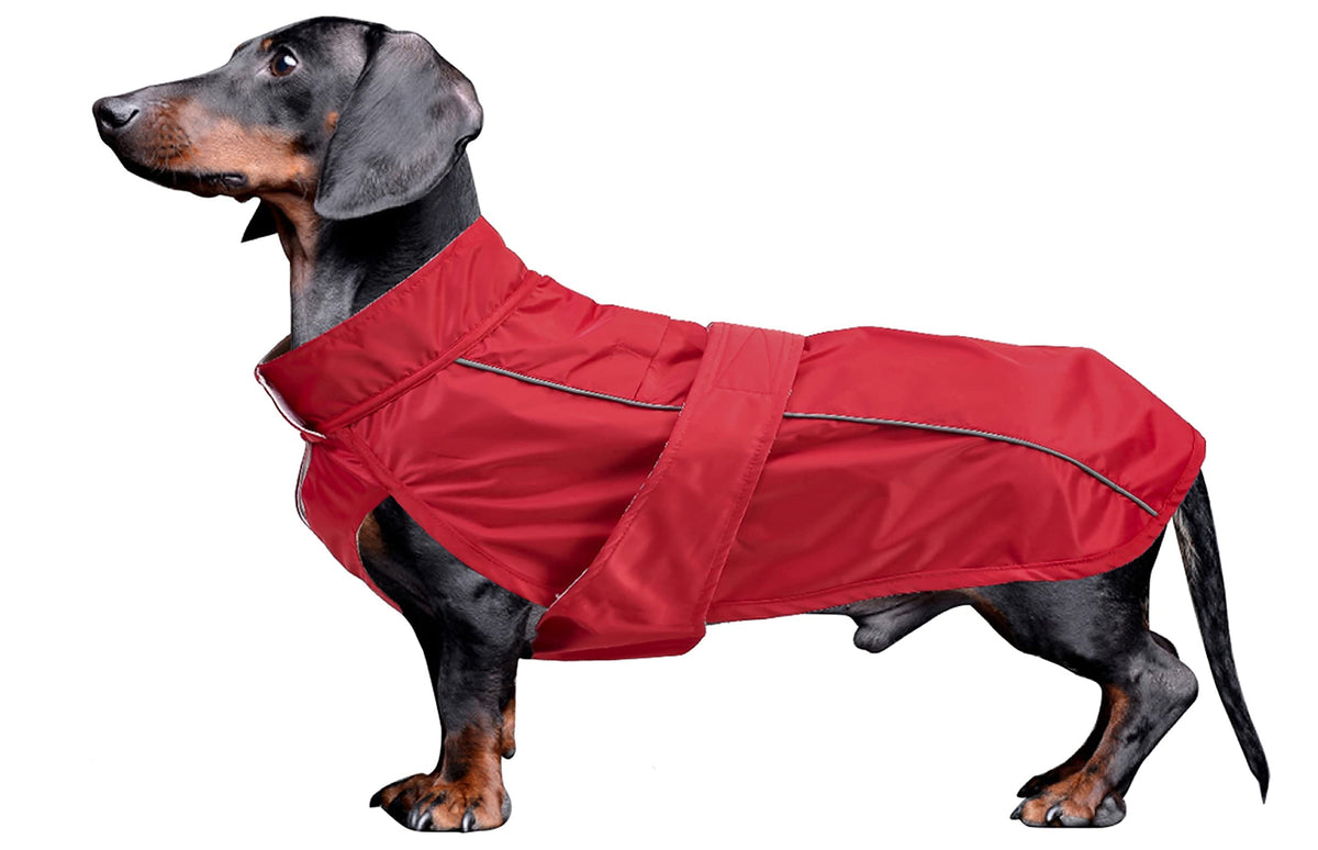 Dachshund Coat Waterproof, Perfect For Dachshund Sausage, Puppy Winter Jacket With Padded Fleece Lining, Outdoor Dog Clothing With Adjustable Bands And Underbelly Protection - Red - M