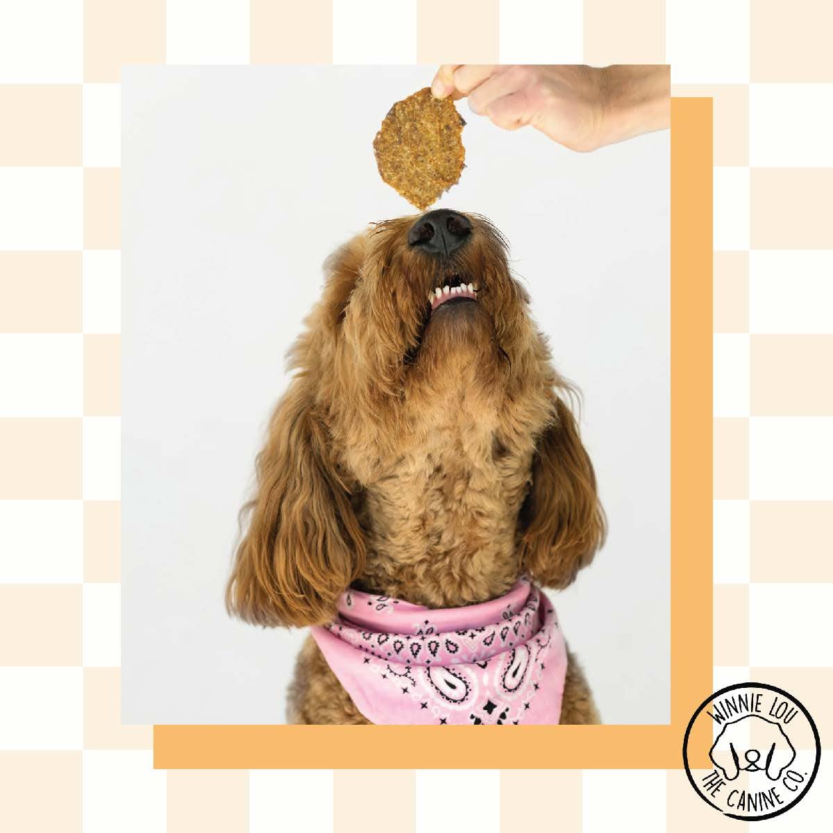 Winnie Lou Organic Jerky Dog Treats - Human Grade, Made in USA - All Natural, Healthy (Turkey Jerky)