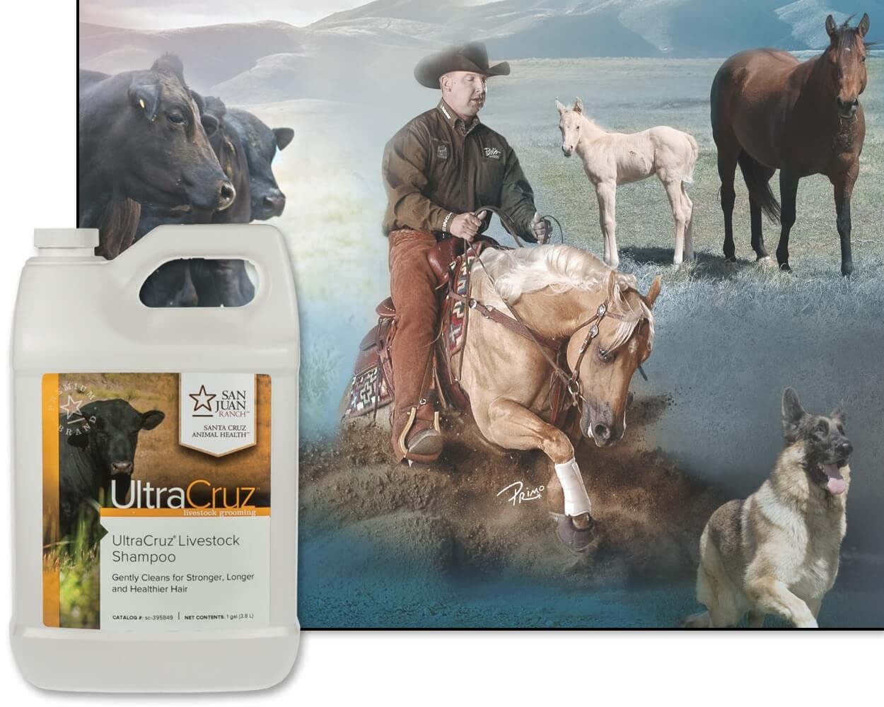 Ultracruz Livestock Shampoo, 1 Gallon