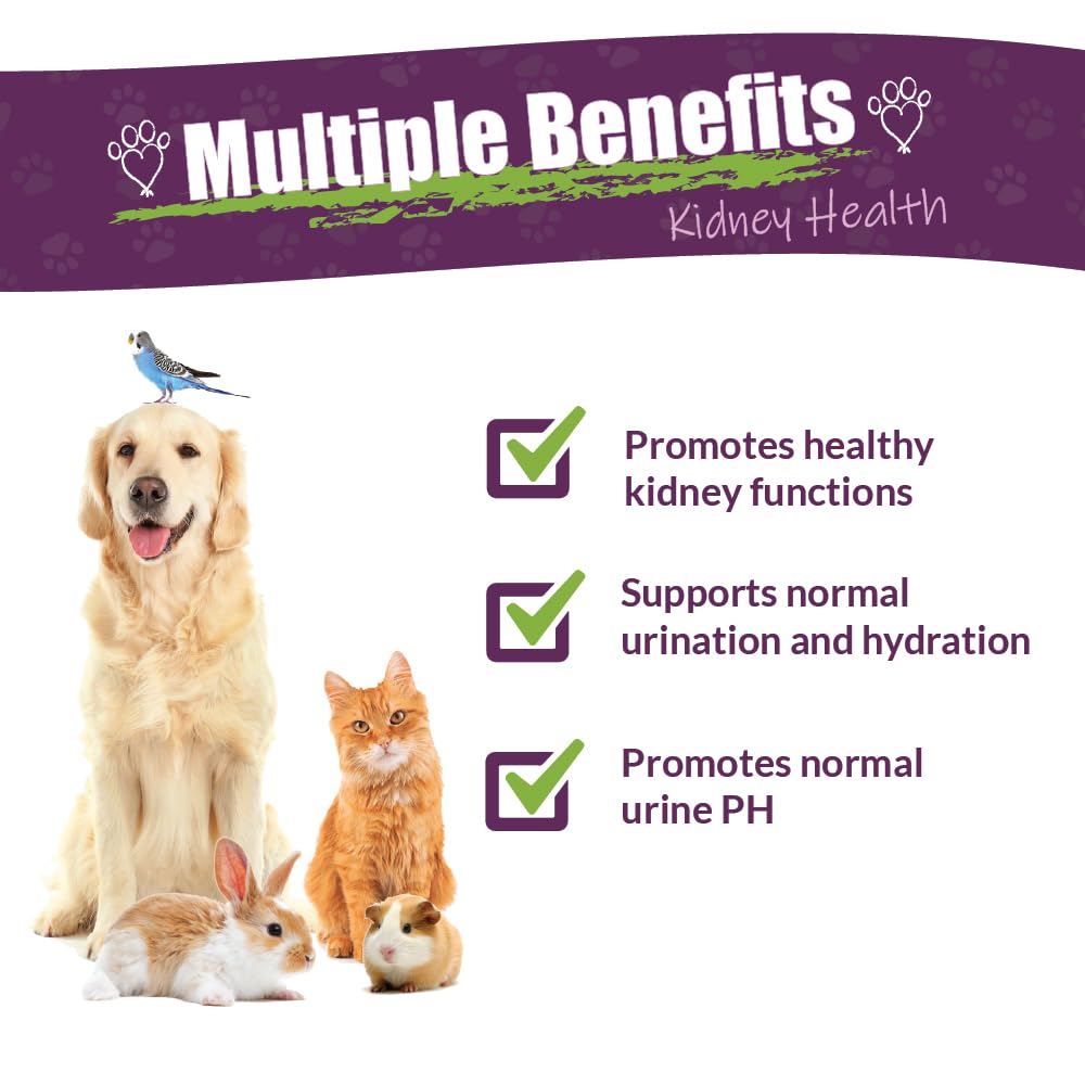 Amber NaturalZ Kidney Rejuvenator Herbal Supplement for Dogs, Cats, Birds, Guinea Pigs, and Rabbits | Pet Herbal Blend for Kidne