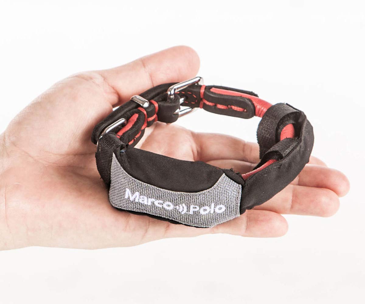 Marco Polo Advanced Pet Monitoring, Tracking and Locating System (for Dogs and Cats 5 lb and Larger)