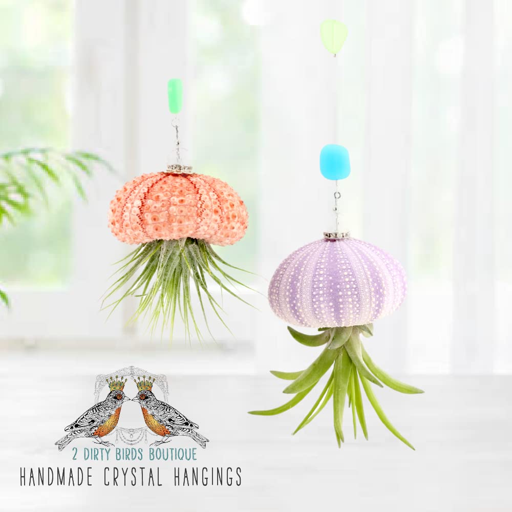 2 Dirty Birds, Handmade Live Jellyfish Air House Plants, Hanging Sea Urchin Shell W/Sea Glass, Swarovski, & Freshwater Pearls (P