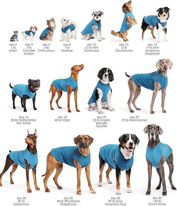 Gold Paw Sun Shield Dog Tee – T-Shirt For Canines – Uv Protection, Pet Anxiety Relief, Wound Care – Protects Against Foxtails, Aids Alopecia - Machine Washable, All Season – Size 14 – Ocean Blue