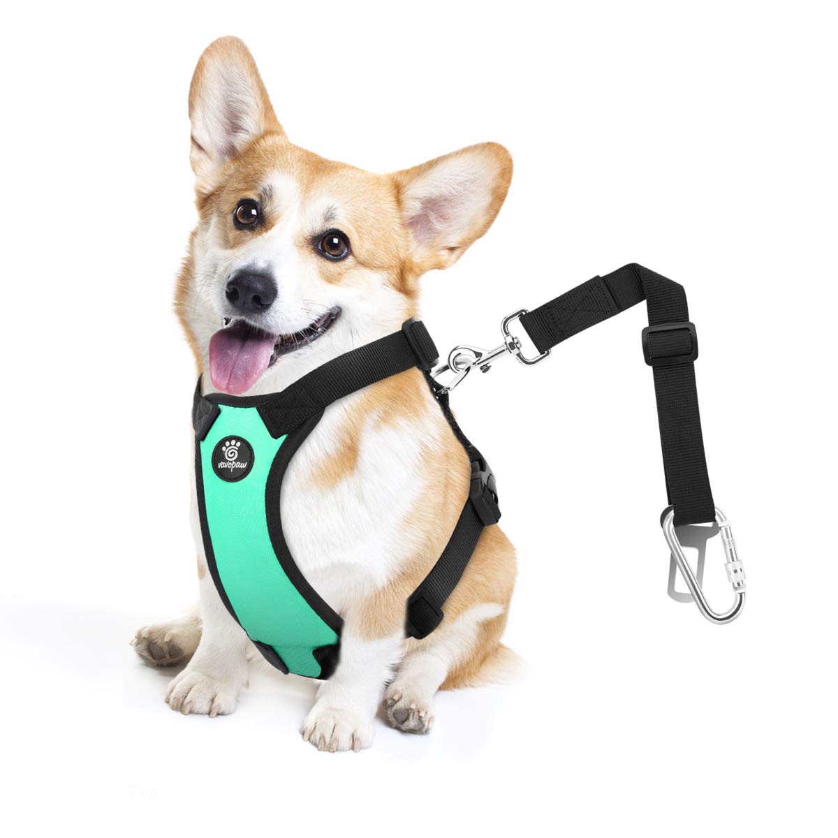 Vavopaw Dog Vehicle Safety Vest Harness, Adjustable Soft Padded Mesh Car Seat Belt Leash Harness With Travel Strap And Carabiner For Most Cars, Size Small, Lake Blue