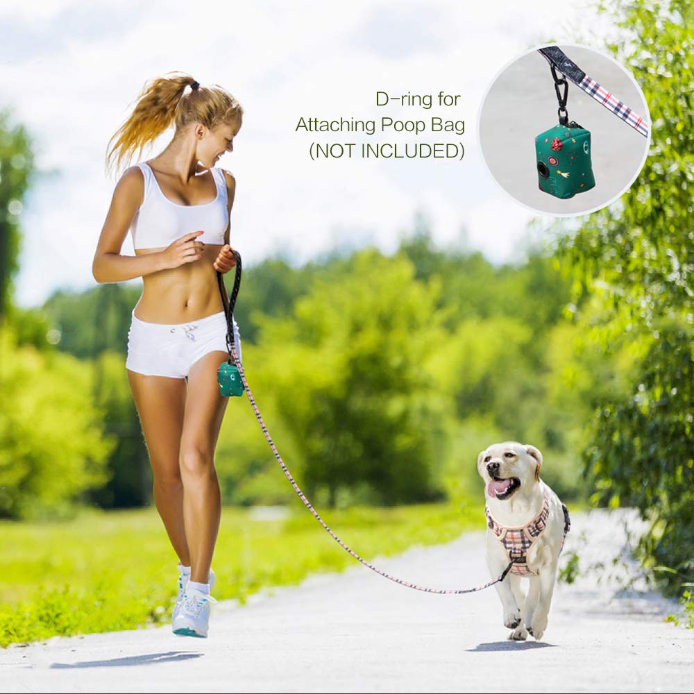 Poypet 5 Feet Dog Leash With Padded Handle For Small Medium And Large Dogs(Checkered Beige)