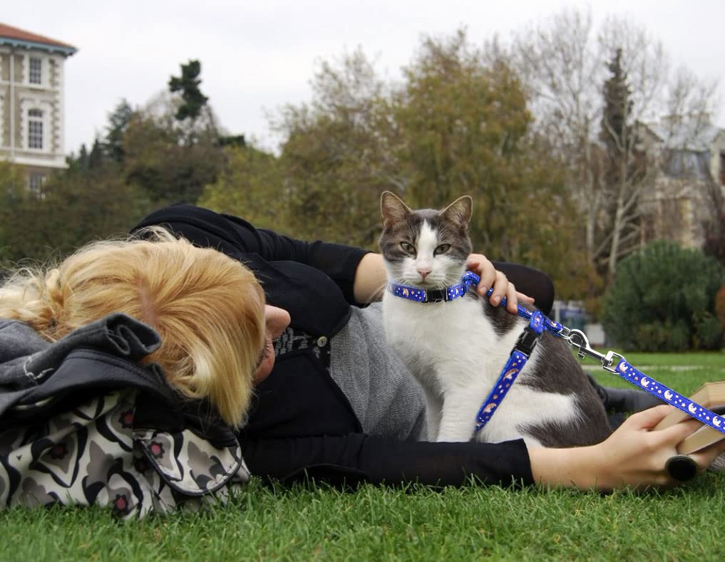 Cat Harness And Leash Set Gold Moons Soft Nylon Escape Proof Adjustable For Kittens Small Animals Glow In The Dark(Blue)