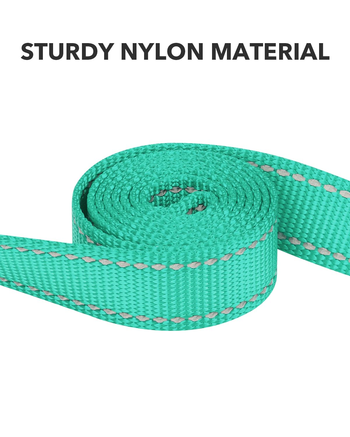 Taglory Dog Leash For Small Dogs, Double-Sided Reflective Leash With Soft Neoprene Padded Handle, 3/4 Inch By 6 Ft, Fit Small Me