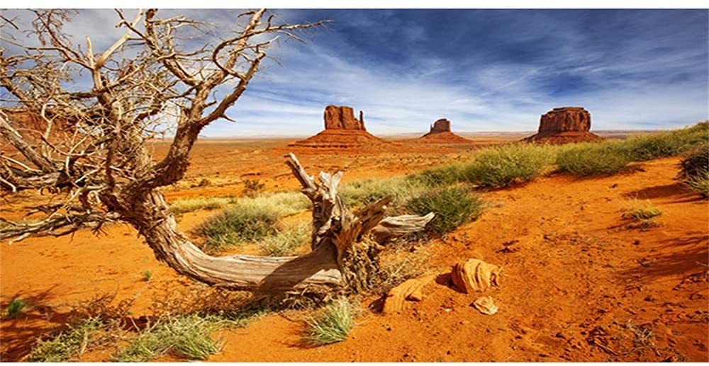 Awert 24X12 Inches Reptile Habitat Background Orange Desert Terrarium Background Durable Polyester Background